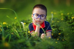 kid, boy, field, eyeglasses